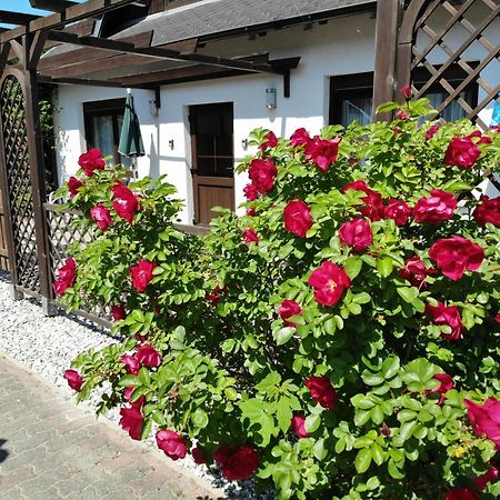 Ferienhaus Kress Links Sellin  Екстериор снимка