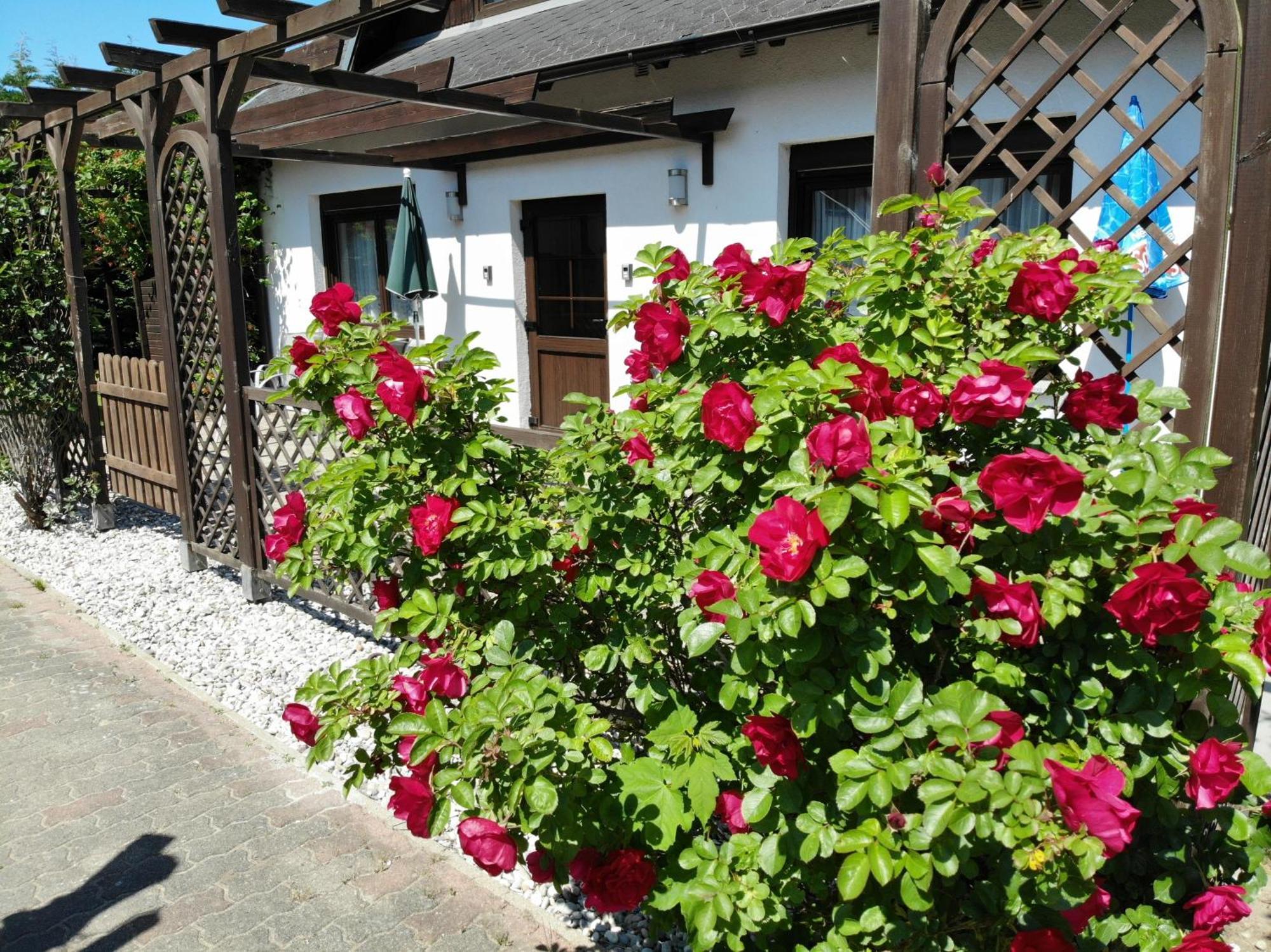 Ferienhaus Kress Links Sellin  Екстериор снимка